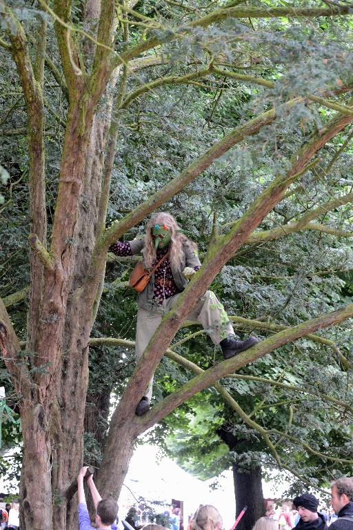 ../Images/Castlefest 2016 Zondag 009.jpg